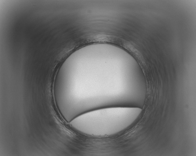 X0000073710394200608031046