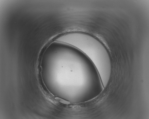 X0000073710395200608031046