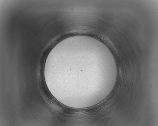 X0000073710396200608031046