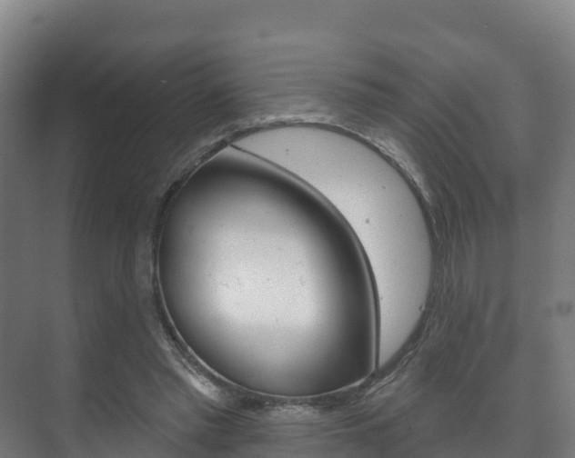 X0000073710397200608031046