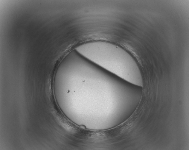 X0000073710398200608031046