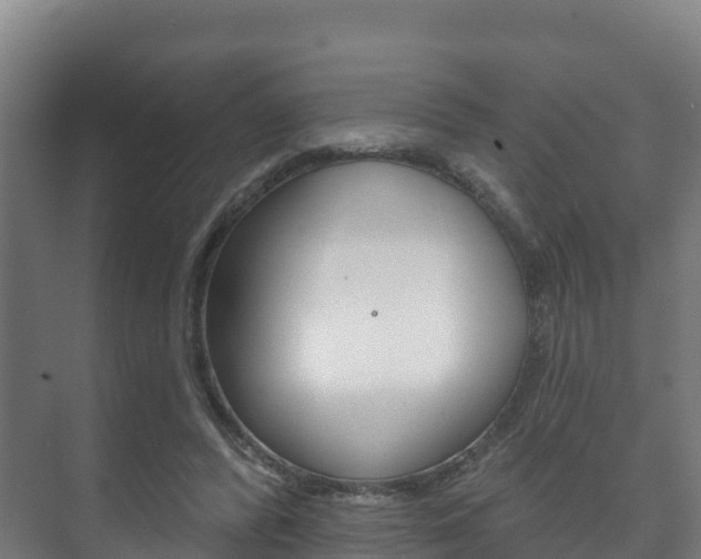 X0000073710400200608031046