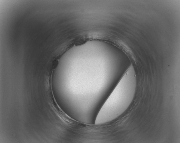 X0000073710401200608031046