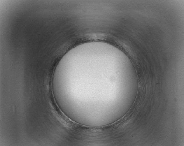 X0000073710402200608031046