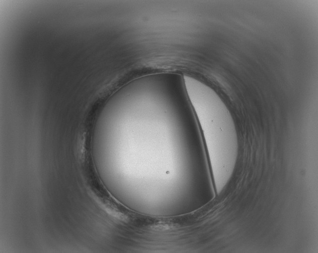 X0000073710404200608031046