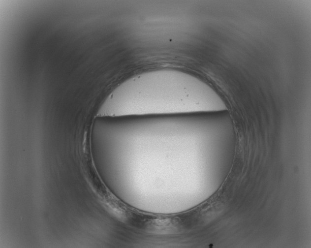 X0000073710406200608031046