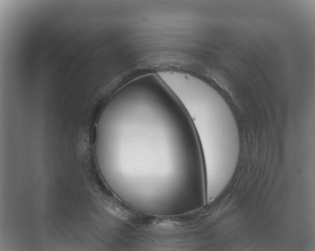 X0000073710407200608031045