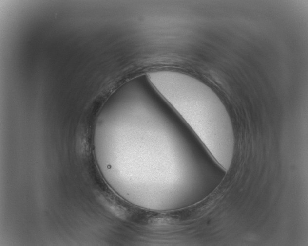 X0000073710408200608031045