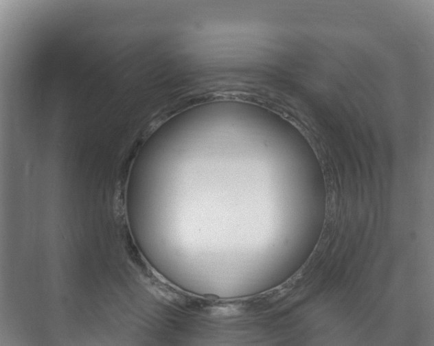 X0000073710411200608031045