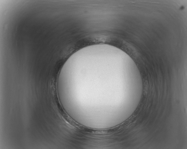 X0000073710414200608031045