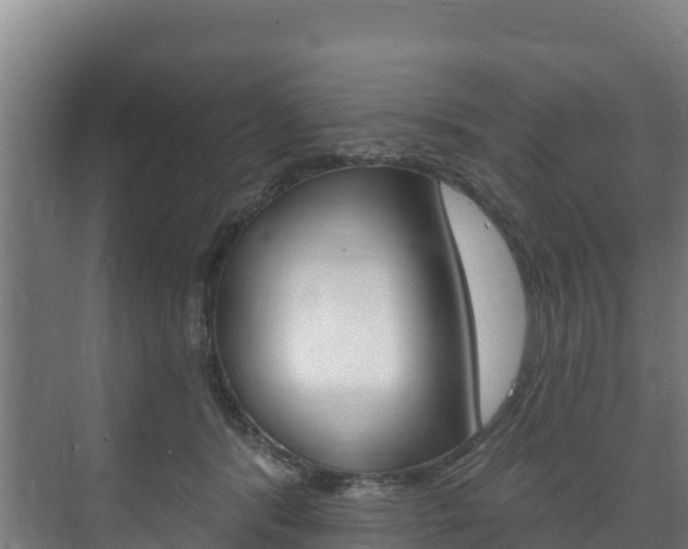 X0000073710416200608031045