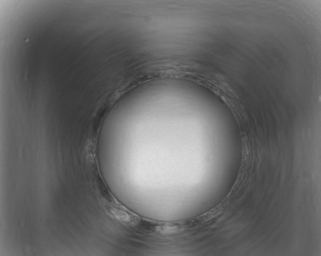 X0000073710419200608031045