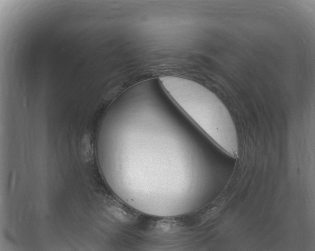 X0000073710420200608031045