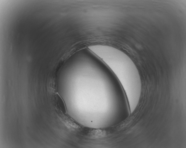 X0000073710421200608031045