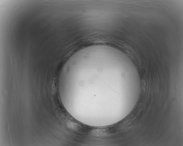 X0000073710422200608031045