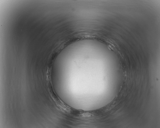 X0000073710423200608031045