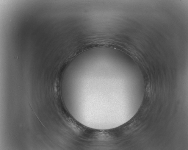 X0000073710424200608031045