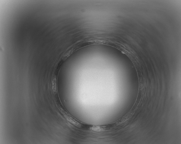 X0000073710425200608031045