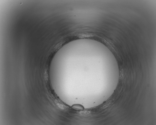 X0000073710426200608031045