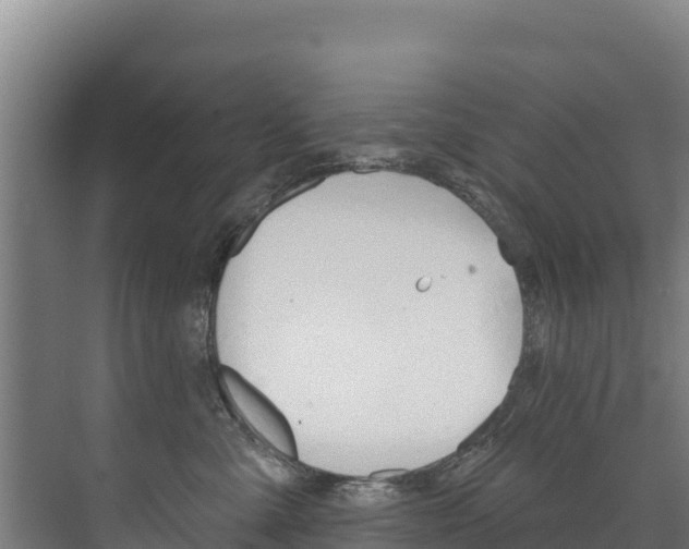 X0000073710427200608031045