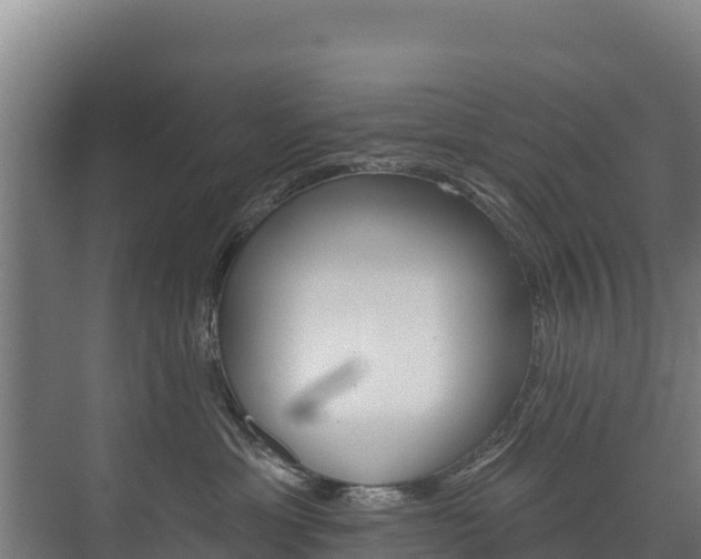 X0000073710429200608031045