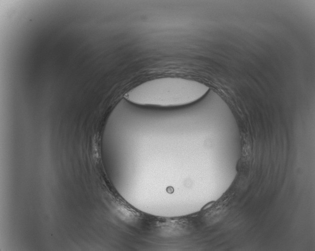 X0000073710430200608031045