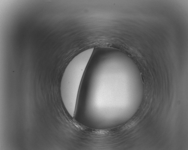 X0000073710432200608031045