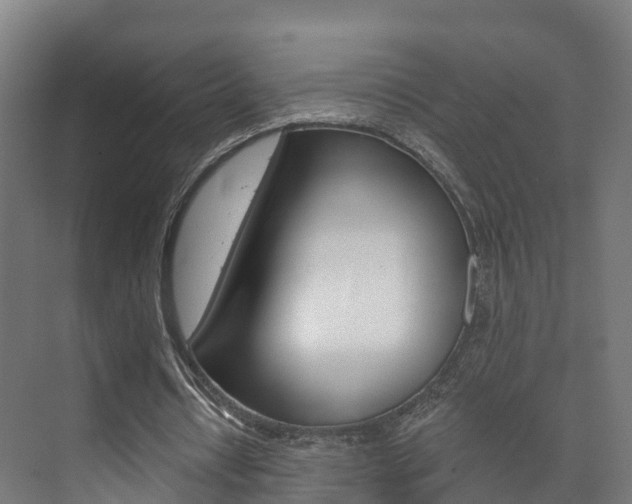 X0000073710434200608031044