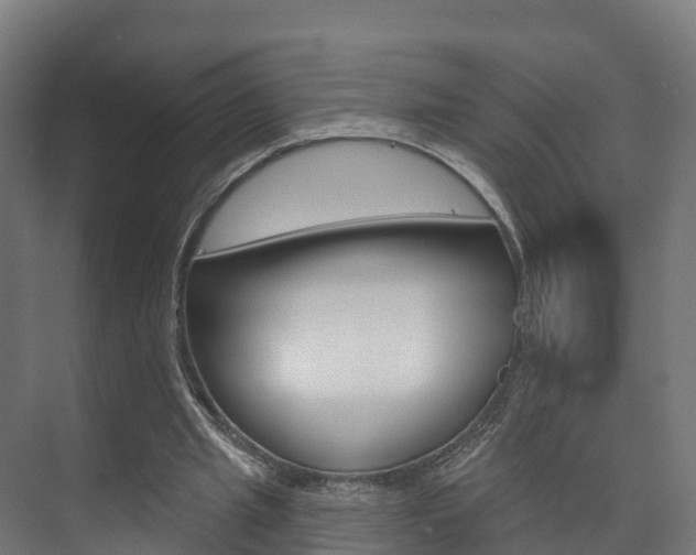 X0000073710437200608031044