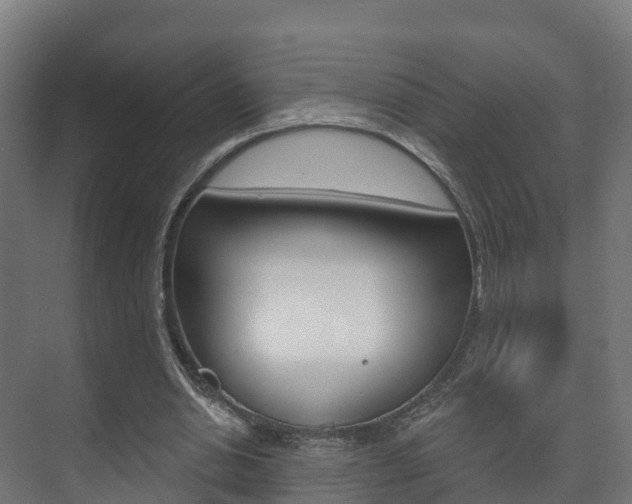 X0000073710438200608031044