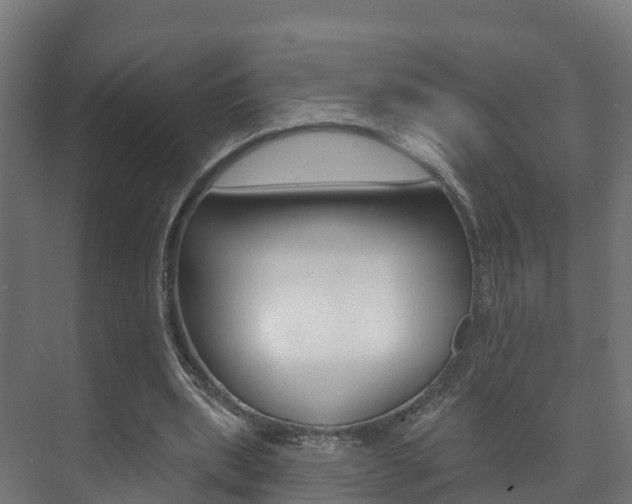 X0000073710439200608031044