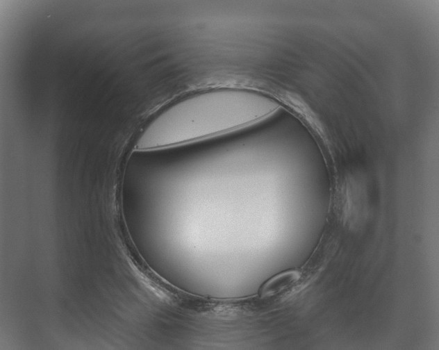 X0000073710441200608031044