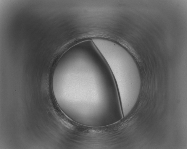 X0000073710442200608031044