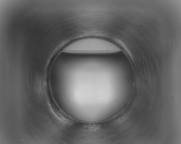 X0000073710443200608031044