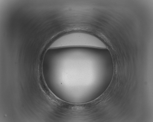 X0000073710444200608031044