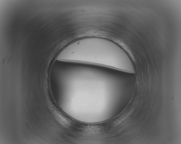 X0000073710445200608031044