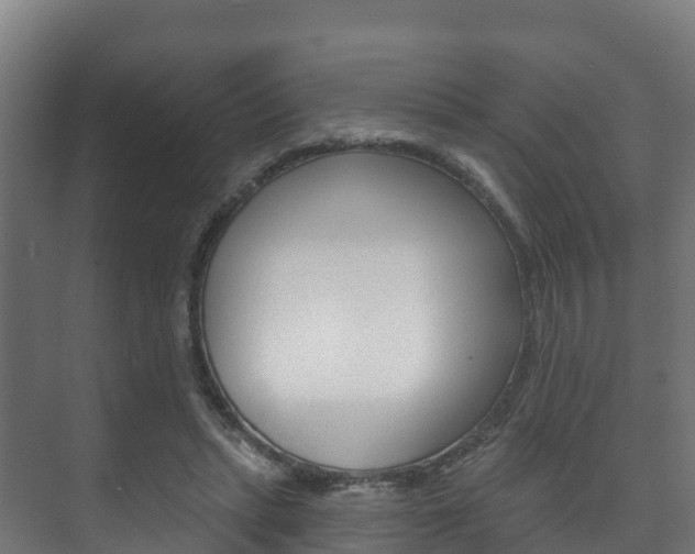 X0000073710447200608031045