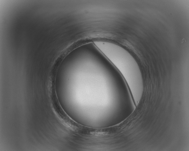 X0000073710448200608031045