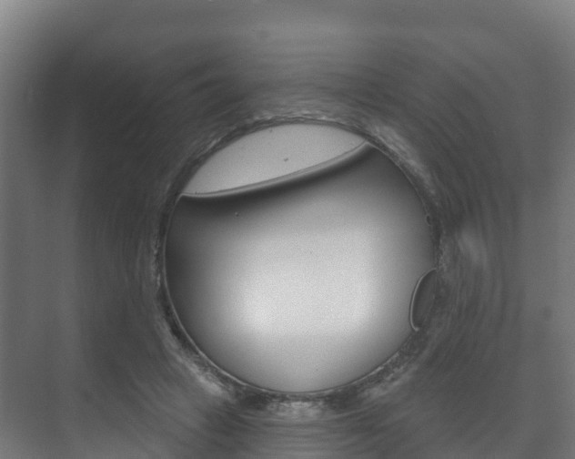 X0000073710449200608031045