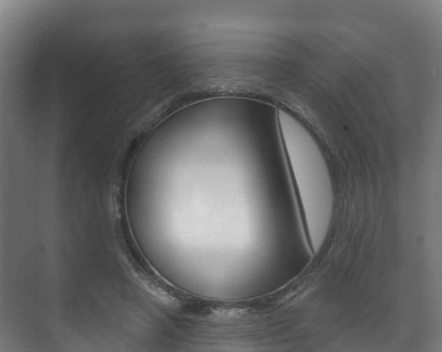 X0000073710450200608031045