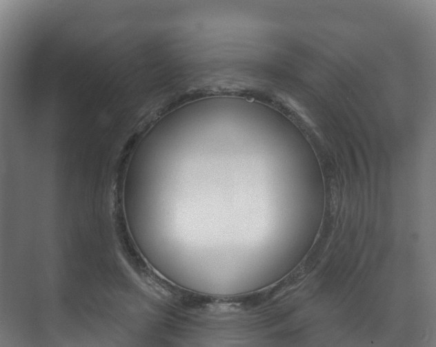 X0000073710451200608031045