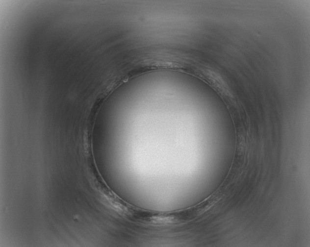 X0000073710457200608031045