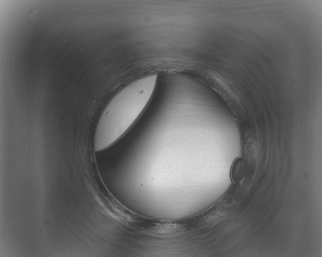 X0000073710459200608031045