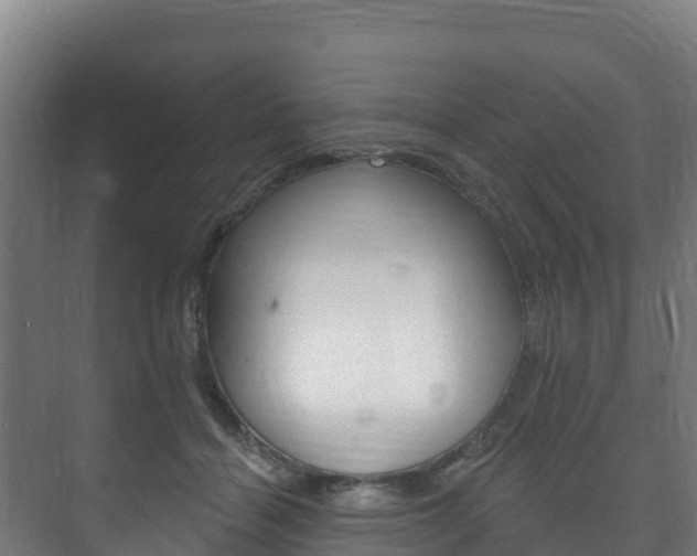 X0000073710460200608031045