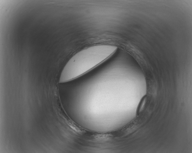 X0000073710465200608031045