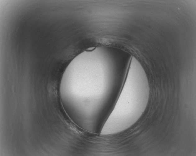 X0000073710466200608031045