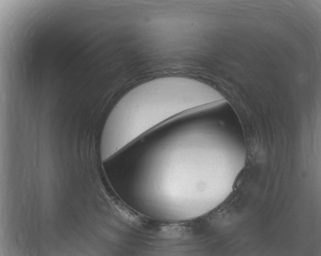 X0000073710470200608031045