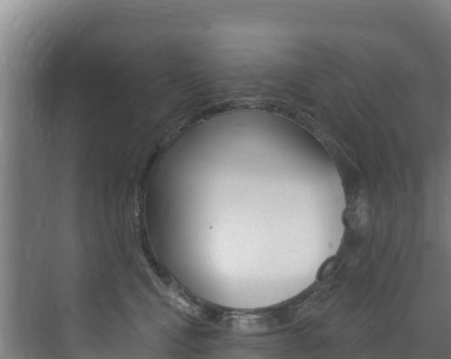 X0000073710472200608031045