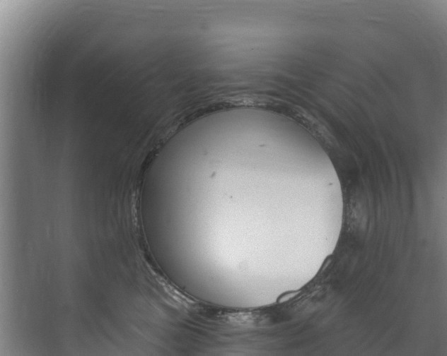 X0000073710473200608031045