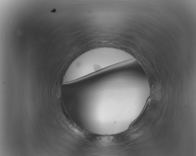 X0000073710474200608031045